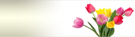 bel bouquet di tulipani